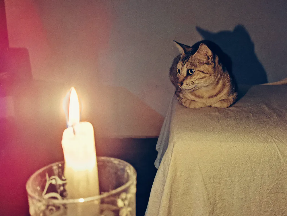 Ashey under candlelight during the Sri Lankan economic crisis