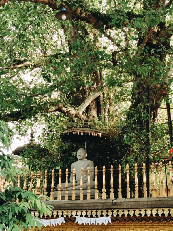 Kelaniya Temple photo