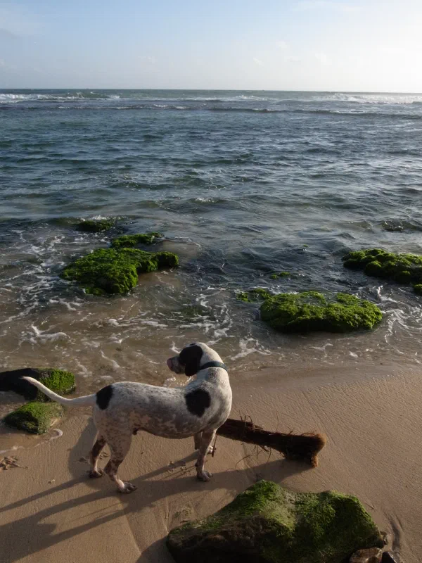 Mathara on a long weekend photo