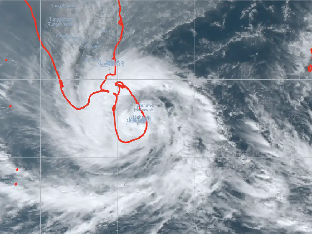 Cyclone Ditwah post thumbnail