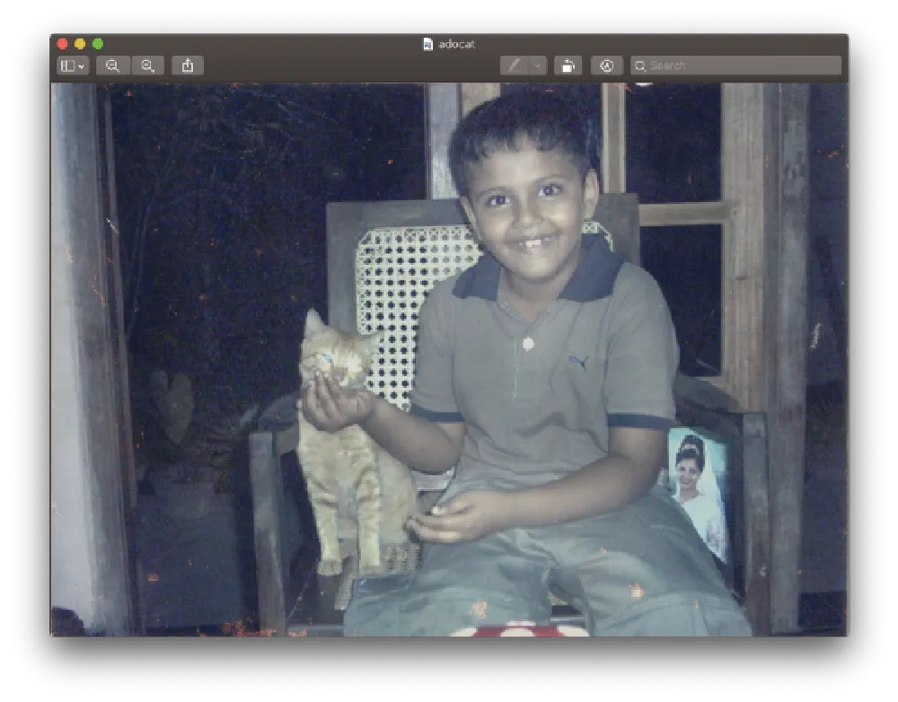 Happiness, Me feeding “Rollo” the cat cake on my 7th birthday (2004)